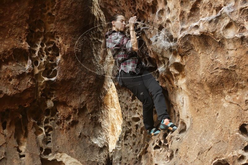 Bouldering in Hueco Tanks on 02/02/2019 with Blue Lizard Climbing and Yoga

Filename: SRM_20190202_1458590.jpg
Aperture: f/3.5
Shutter Speed: 1/125
Body: Canon EOS-1D Mark II
Lens: Canon EF 50mm f/1.8 II