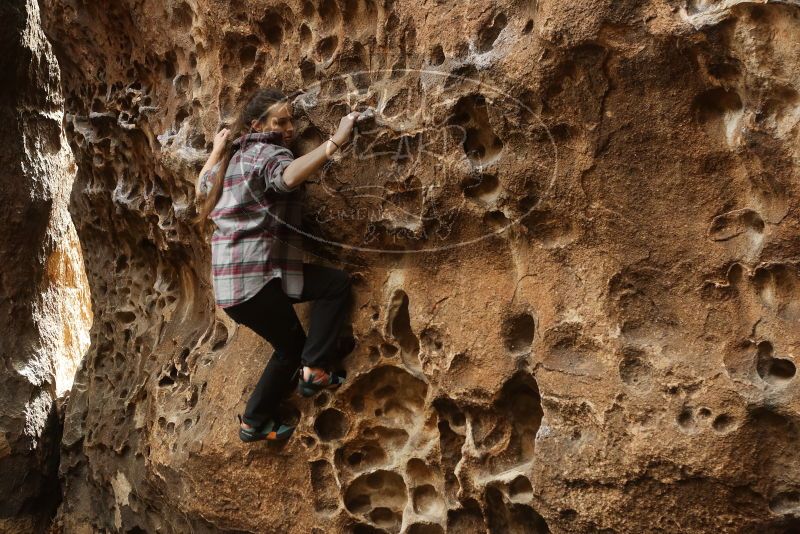 Bouldering in Hueco Tanks on 02/02/2019 with Blue Lizard Climbing and Yoga
Filename: SRM_20190202_1459500.jpg
Aperture: f/3.5
Shutter Speed: 1/125
Body: Canon EOS-1D Mark II
Lens: Canon EF 50mm f/1.8 II