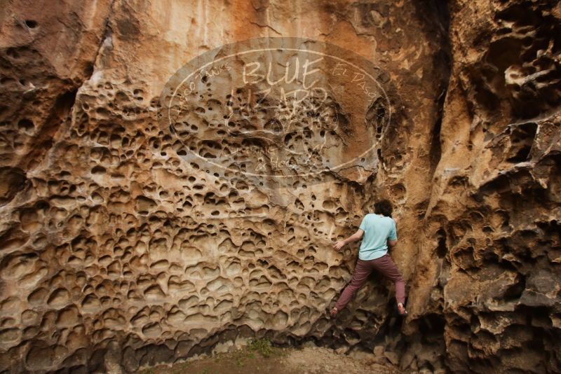 Bouldering in Hueco Tanks on 02/02/2019 with Blue Lizard Climbing and Yoga
Filename: SRM_20190202_1517360.jpg
Aperture: f/5.6
Shutter Speed: 1/100
Body: Canon EOS-1D Mark II
Lens: Canon EF 16-35mm f/2.8 L