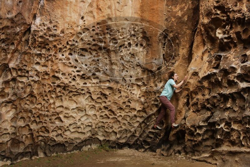 Bouldering in Hueco Tanks on 02/02/2019 with Blue Lizard Climbing and Yoga

Filename: SRM_20190202_1517560.jpg
Aperture: f/5.6
Shutter Speed: 1/125
Body: Canon EOS-1D Mark II
Lens: Canon EF 16-35mm f/2.8 L