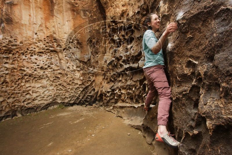 Bouldering in Hueco Tanks on 02/02/2019 with Blue Lizard Climbing and Yoga
Filename: SRM_20190202_1521131.jpg
Aperture: f/5.6
Shutter Speed: 1/100
Body: Canon EOS-1D Mark II
Lens: Canon EF 16-35mm f/2.8 L