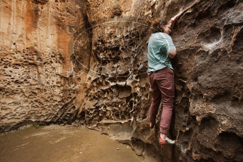 Bouldering in Hueco Tanks on 02/02/2019 with Blue Lizard Climbing and Yoga
Filename: SRM_20190202_1521500.jpg
Aperture: f/5.6
Shutter Speed: 1/100
Body: Canon EOS-1D Mark II
Lens: Canon EF 16-35mm f/2.8 L