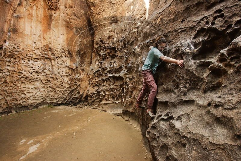 Bouldering in Hueco Tanks on 02/02/2019 with Blue Lizard Climbing and Yoga
Filename: SRM_20190202_1522010.jpg
Aperture: f/5.6
Shutter Speed: 1/80
Body: Canon EOS-1D Mark II
Lens: Canon EF 16-35mm f/2.8 L