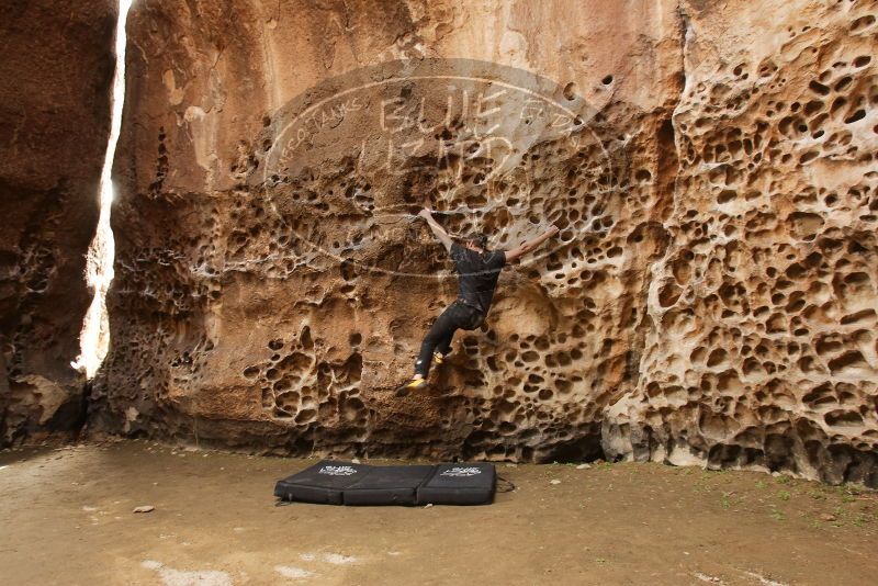 Bouldering in Hueco Tanks on 02/02/2019 with Blue Lizard Climbing and Yoga
Filename: SRM_20190202_1524550.jpg
Aperture: f/5.6
Shutter Speed: 1/60
Body: Canon EOS-1D Mark II
Lens: Canon EF 16-35mm f/2.8 L