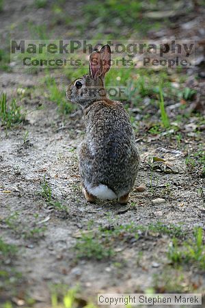 

Filename: img_7474_std.jpg
Aperture: f/2.8
Shutter Speed: 1/320
Body: Canon EOS DIGITAL REBEL
Lens: Canon EF 80-200mm f/2.8 L