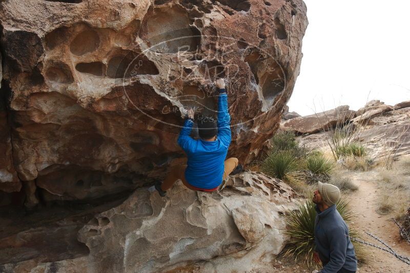 Bouldering in Hueco Tanks on 02/09/2019 with Blue Lizard Climbing and Yoga
Filename: SRM_20190209_0953150.jpg
Aperture: f/5.6
Shutter Speed: 1/640
Body: Canon EOS-1D Mark II
Lens: Canon EF 16-35mm f/2.8 L