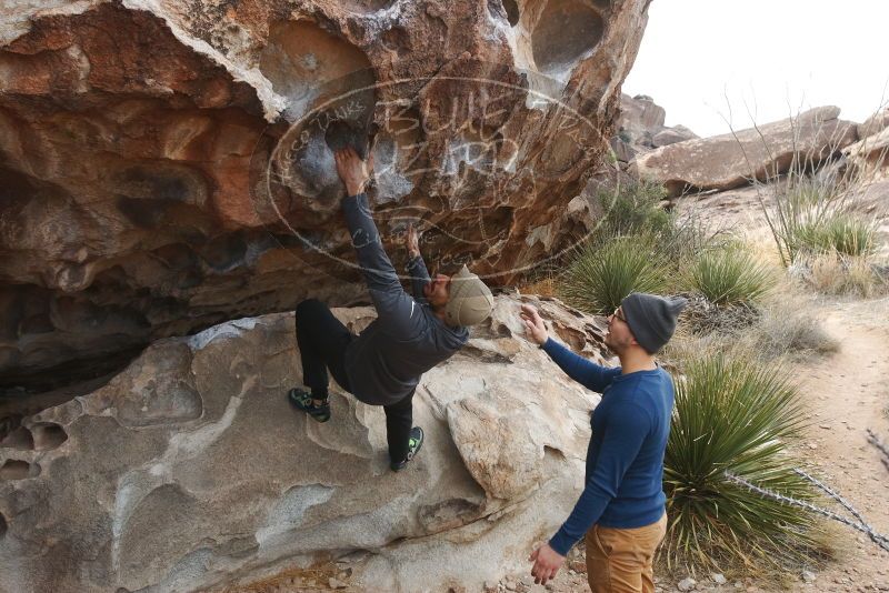 Bouldering in Hueco Tanks on 02/09/2019 with Blue Lizard Climbing and Yoga
Filename: SRM_20190209_0957580.jpg
Aperture: f/5.6
Shutter Speed: 1/400
Body: Canon EOS-1D Mark II
Lens: Canon EF 16-35mm f/2.8 L