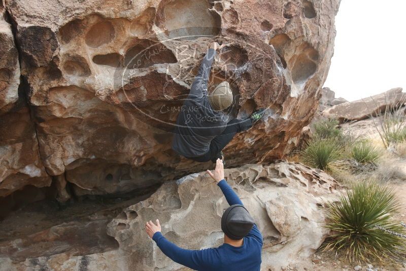 Bouldering in Hueco Tanks on 02/09/2019 with Blue Lizard Climbing and Yoga
Filename: SRM_20190209_0958140.jpg
Aperture: f/5.6
Shutter Speed: 1/400
Body: Canon EOS-1D Mark II
Lens: Canon EF 16-35mm f/2.8 L