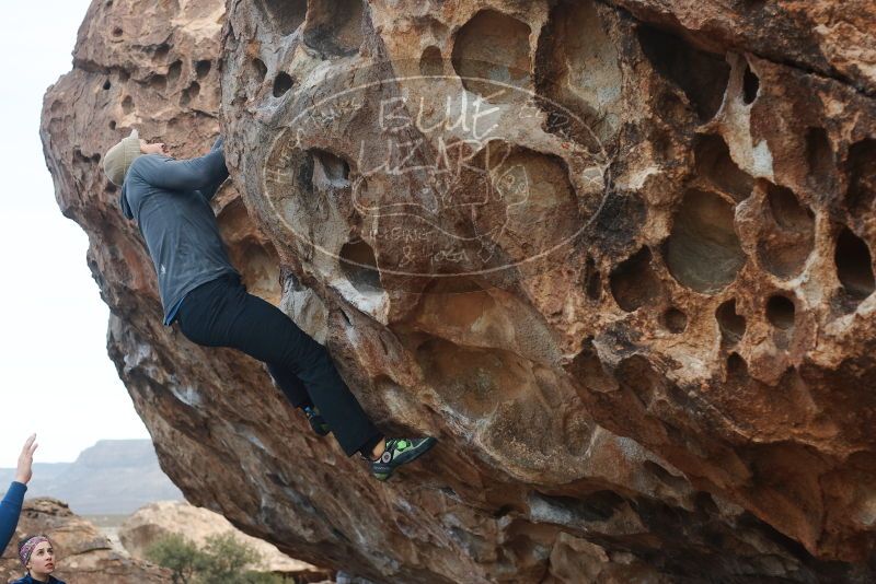 Bouldering in Hueco Tanks on 02/09/2019 with Blue Lizard Climbing and Yoga
Filename: SRM_20190209_1005470.jpg
Aperture: f/3.5
Shutter Speed: 1/640
Body: Canon EOS-1D Mark II
Lens: Canon EF 50mm f/1.8 II