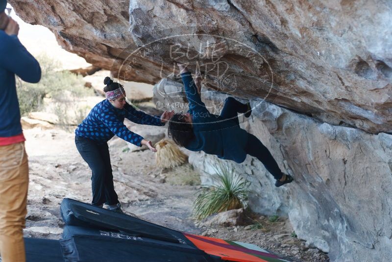 Bouldering in Hueco Tanks on 02/09/2019 with Blue Lizard Climbing and Yoga

Filename: SRM_20190209_1031390.jpg
Aperture: f/2.8
Shutter Speed: 1/320
Body: Canon EOS-1D Mark II
Lens: Canon EF 50mm f/1.8 II