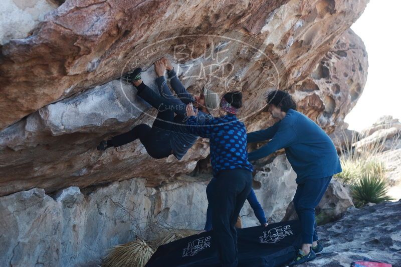 Bouldering in Hueco Tanks on 02/09/2019 with Blue Lizard Climbing and Yoga
Filename: SRM_20190209_1046480.jpg
Aperture: f/4.0
Shutter Speed: 1/400
Body: Canon EOS-1D Mark II
Lens: Canon EF 50mm f/1.8 II