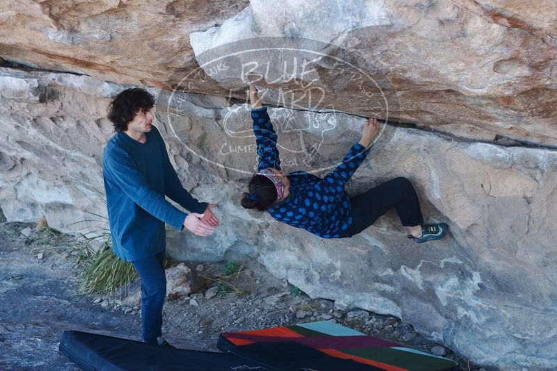 Bouldering in Hueco Tanks on 02/09/2019 with Blue Lizard Climbing and Yoga
Filename: SRM_20190209_1048130.jpg
Aperture: f/4.0
Shutter Speed: 1/200
Body: Canon EOS-1D Mark II
Lens: Canon EF 50mm f/1.8 II