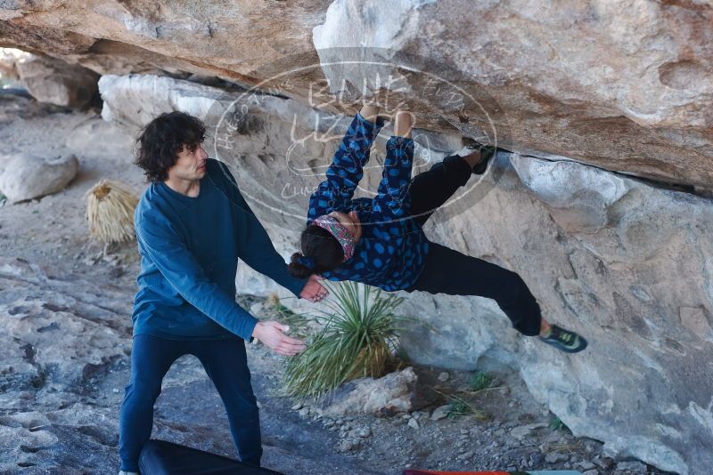 Bouldering in Hueco Tanks on 02/09/2019 with Blue Lizard Climbing and Yoga
Filename: SRM_20190209_1048190.jpg
Aperture: f/4.0
Shutter Speed: 1/200
Body: Canon EOS-1D Mark II
Lens: Canon EF 50mm f/1.8 II