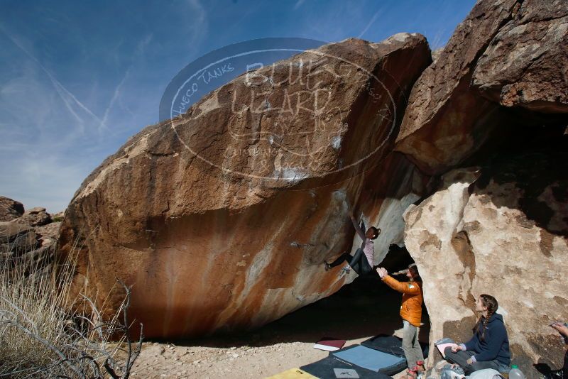 Bouldering in Hueco Tanks on 02/09/2019 with Blue Lizard Climbing and Yoga
Filename: SRM_20190209_1203250.jpg
Aperture: f/5.6
Shutter Speed: 1/250
Body: Canon EOS-1D Mark II
Lens: Canon EF 16-35mm f/2.8 L