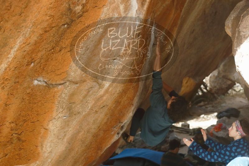 Bouldering in Hueco Tanks on 02/09/2019 with Blue Lizard Climbing and Yoga

Filename: SRM_20190209_1301490.jpg
Aperture: f/4.0
Shutter Speed: 1/200
Body: Canon EOS-1D Mark II
Lens: Canon EF 50mm f/1.8 II