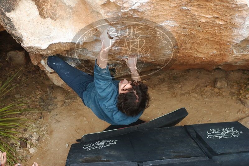 Bouldering in Hueco Tanks on 02/09/2019 with Blue Lizard Climbing and Yoga
Filename: SRM_20190209_1516240.jpg
Aperture: f/4.0
Shutter Speed: 1/320
Body: Canon EOS-1D Mark II
Lens: Canon EF 50mm f/1.8 II