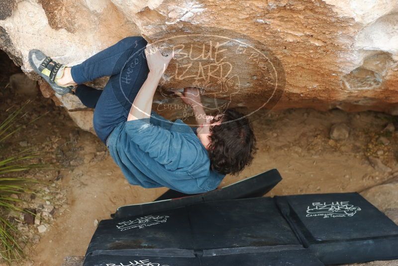 Bouldering in Hueco Tanks on 02/09/2019 with Blue Lizard Climbing and Yoga
Filename: SRM_20190209_1516340.jpg
Aperture: f/4.0
Shutter Speed: 1/320
Body: Canon EOS-1D Mark II
Lens: Canon EF 50mm f/1.8 II