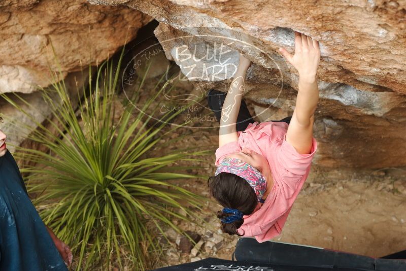Bouldering in Hueco Tanks on 02/09/2019 with Blue Lizard Climbing and Yoga
Filename: SRM_20190209_1519060.jpg
Aperture: f/4.0
Shutter Speed: 1/200
Body: Canon EOS-1D Mark II
Lens: Canon EF 50mm f/1.8 II