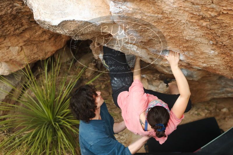 Bouldering in Hueco Tanks on 02/09/2019 with Blue Lizard Climbing and Yoga
Filename: SRM_20190209_1520290.jpg
Aperture: f/4.0
Shutter Speed: 1/320
Body: Canon EOS-1D Mark II
Lens: Canon EF 50mm f/1.8 II