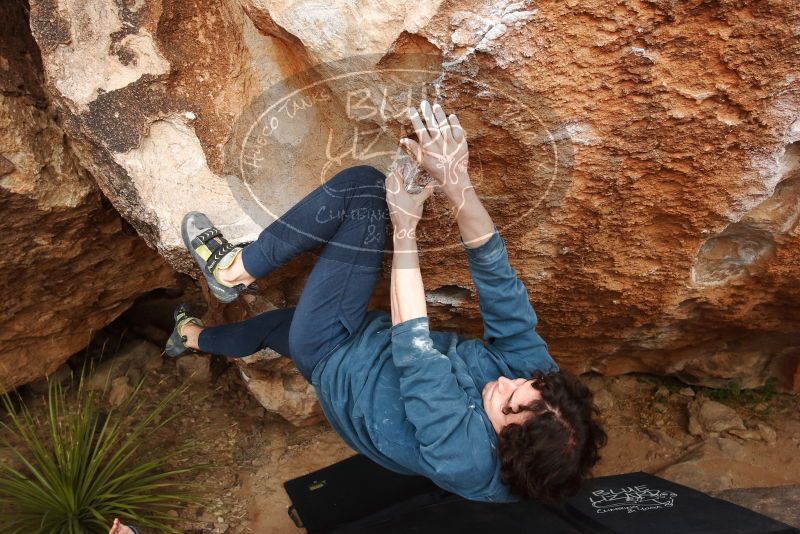 

Filename: SRM_20190209_1602221.jpg
Aperture: f/5.6
Shutter Speed: 1/320
Body: Canon EOS-1D Mark II
Lens: Canon EF 16-35mm f/2.8 L