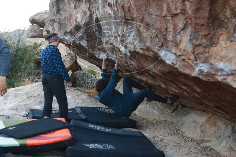 Bouldering in Hueco Tanks on 02/09/2019 with Blue Lizard Climbing and Yoga
Filename: SRM_20190209_1814240.jpg
Aperture: f/3.5
Shutter Speed: 1/250
Body: Canon EOS-1D Mark II
Lens: Canon EF 50mm f/1.8 II