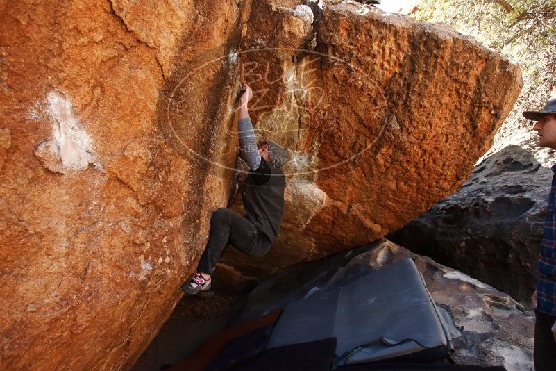 Bouldering in Hueco Tanks on 02/17/2019 with Blue Lizard Climbing and Yoga
Filename: SRM_20190217_1149390.jpg
Aperture: f/5.6
Shutter Speed: 1/320
Body: Canon EOS-1D Mark II
Lens: Canon EF 16-35mm f/2.8 L