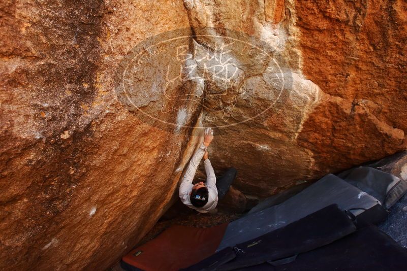 Bouldering in Hueco Tanks on 02/17/2019 with Blue Lizard Climbing and Yoga
Filename: SRM_20190217_1210570.jpg
Aperture: f/4.5
Shutter Speed: 1/320
Body: Canon EOS-1D Mark II
Lens: Canon EF 16-35mm f/2.8 L