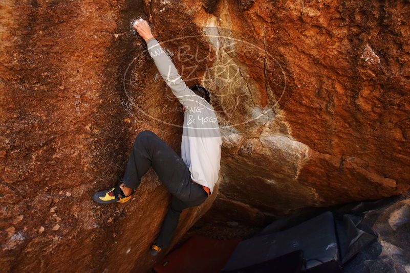 Bouldering in Hueco Tanks on 02/17/2019 with Blue Lizard Climbing and Yoga

Filename: SRM_20190217_1218210.jpg
Aperture: f/4.5
Shutter Speed: 1/640
Body: Canon EOS-1D Mark II
Lens: Canon EF 16-35mm f/2.8 L