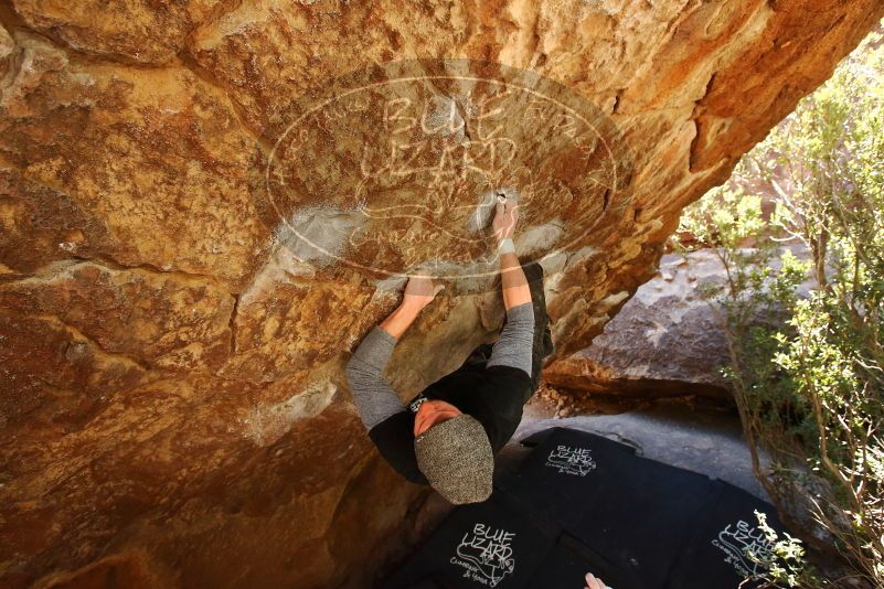 Bouldering in Hueco Tanks on 02/17/2019 with Blue Lizard Climbing and Yoga

Filename: SRM_20190217_1309270.jpg
Aperture: f/5.6
Shutter Speed: 1/200
Body: Canon EOS-1D Mark II
Lens: Canon EF 16-35mm f/2.8 L