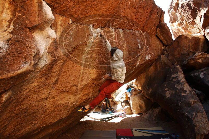 Bouldering in Hueco Tanks on 02/17/2019 with Blue Lizard Climbing and Yoga
Filename: SRM_20190217_1333060.jpg
Aperture: f/5.6
Shutter Speed: 1/400
Body: Canon EOS-1D Mark II
Lens: Canon EF 16-35mm f/2.8 L