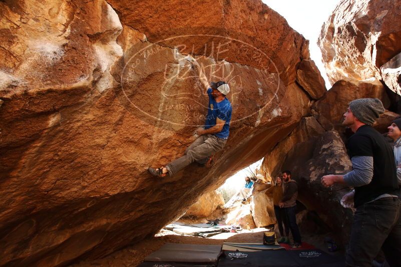 Bouldering in Hueco Tanks on 02/17/2019 with Blue Lizard Climbing and Yoga
Filename: SRM_20190217_1339261.jpg
Aperture: f/5.6
Shutter Speed: 1/400
Body: Canon EOS-1D Mark II
Lens: Canon EF 16-35mm f/2.8 L