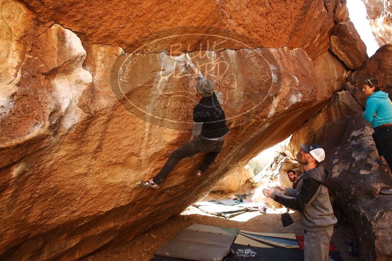 Bouldering in Hueco Tanks on 02/17/2019 with Blue Lizard Climbing and Yoga

Filename: SRM_20190217_1342090.jpg
Aperture: f/5.0
Shutter Speed: 1/400
Body: Canon EOS-1D Mark II
Lens: Canon EF 16-35mm f/2.8 L