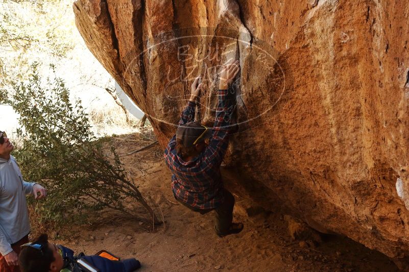 Bouldering in Hueco Tanks on 02/17/2019 with Blue Lizard Climbing and Yoga
Filename: SRM_20190217_1410400.jpg
Aperture: f/5.0
Shutter Speed: 1/250
Body: Canon EOS-1D Mark II
Lens: Canon EF 50mm f/1.8 II
