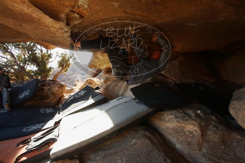 Bouldering in Hueco Tanks on 02/17/2019 with Blue Lizard Climbing and Yoga

Filename: SRM_20190217_1725330.jpg
Aperture: f/4.0
Shutter Speed: 1/320
Body: Canon EOS-1D Mark II
Lens: Canon EF 16-35mm f/2.8 L