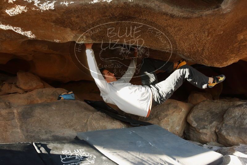 Bouldering in Hueco Tanks on 02/17/2019 with Blue Lizard Climbing and Yoga

Filename: SRM_20190217_1744150.jpg
Aperture: f/4.0
Shutter Speed: 1/250
Body: Canon EOS-1D Mark II
Lens: Canon EF 16-35mm f/2.8 L