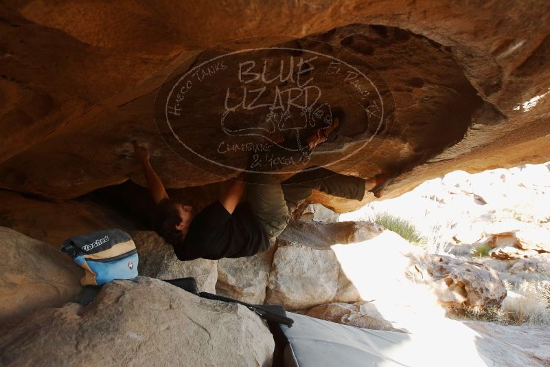 Bouldering in Hueco Tanks on 02/17/2019 with Blue Lizard Climbing and Yoga

Filename: SRM_20190217_1747560.jpg
Aperture: f/5.0
Shutter Speed: 1/250
Body: Canon EOS-1D Mark II
Lens: Canon EF 16-35mm f/2.8 L