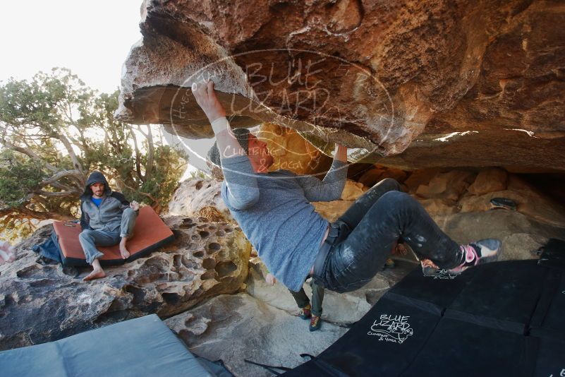 Bouldering in Hueco Tanks on 02/17/2019 with Blue Lizard Climbing and Yoga

Filename: SRM_20190217_1801220.jpg
Aperture: f/4.0
Shutter Speed: 1/250
Body: Canon EOS-1D Mark II
Lens: Canon EF 16-35mm f/2.8 L