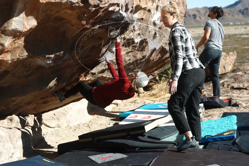 Bouldering in Hueco Tanks on 02/22/2019 with Blue Lizard Climbing and Yoga
Filename: SRM_20190222_1027290.jpg
Aperture: f/4.0
Shutter Speed: 1/400
Body: Canon EOS-1D Mark II
Lens: Canon EF 50mm f/1.8 II