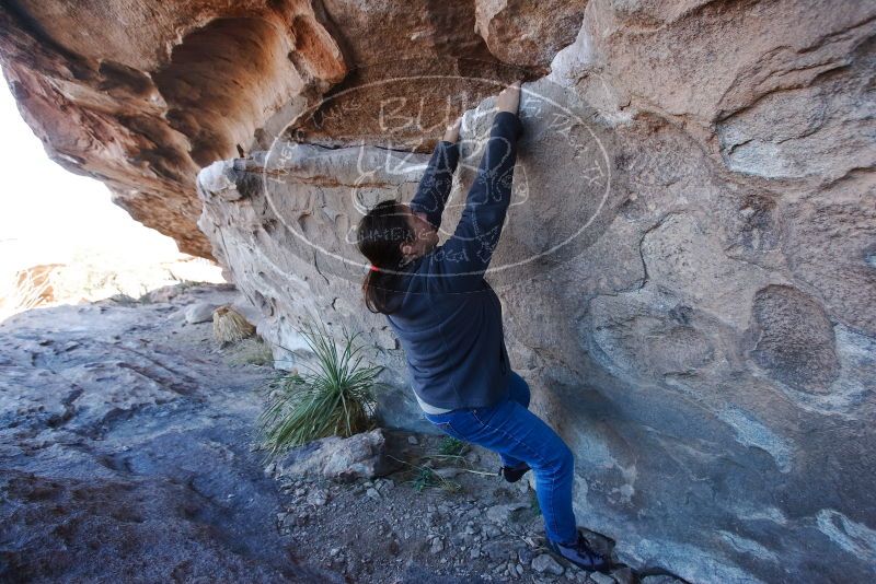 Bouldering in Hueco Tanks on 02/22/2019 with Blue Lizard Climbing and Yoga
Filename: SRM_20190222_1117470.jpg
Aperture: f/5.0
Shutter Speed: 1/320
Body: Canon EOS-1D Mark II
Lens: Canon EF 16-35mm f/2.8 L