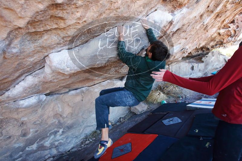 Bouldering in Hueco Tanks on 02/22/2019 with Blue Lizard Climbing and Yoga

Filename: SRM_20190222_1119090.jpg
Aperture: f/5.0
Shutter Speed: 1/250
Body: Canon EOS-1D Mark II
Lens: Canon EF 16-35mm f/2.8 L
