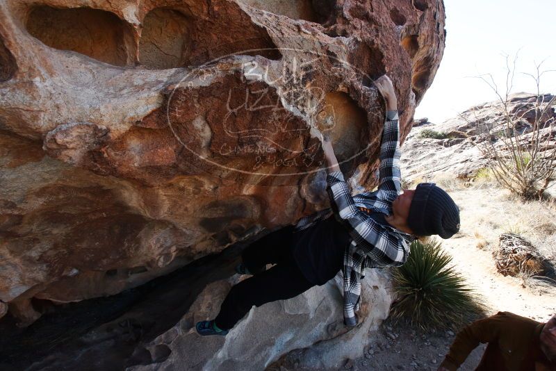 Bouldering in Hueco Tanks on 02/22/2019 with Blue Lizard Climbing and Yoga

Filename: SRM_20190222_1126160.jpg
Aperture: f/10.0
Shutter Speed: 1/250
Body: Canon EOS-1D Mark II
Lens: Canon EF 16-35mm f/2.8 L