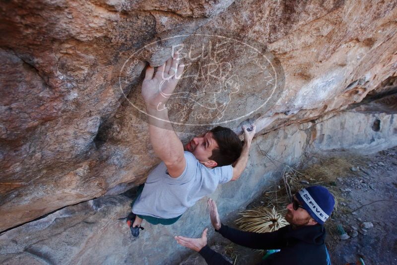 Bouldering in Hueco Tanks on 02/22/2019 with Blue Lizard Climbing and Yoga
Filename: SRM_20190222_1145280.jpg
Aperture: f/6.3
Shutter Speed: 1/250
Body: Canon EOS-1D Mark II
Lens: Canon EF 16-35mm f/2.8 L