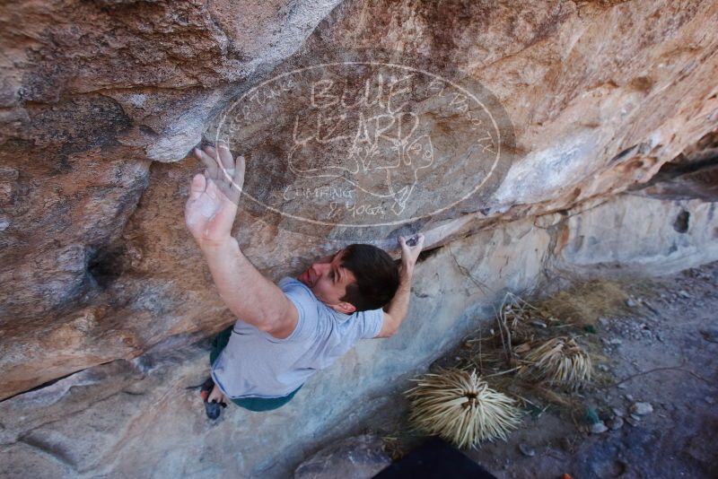 Bouldering in Hueco Tanks on 02/22/2019 with Blue Lizard Climbing and Yoga
Filename: SRM_20190222_1200090.jpg
Aperture: f/6.3
Shutter Speed: 1/250
Body: Canon EOS-1D Mark II
Lens: Canon EF 16-35mm f/2.8 L