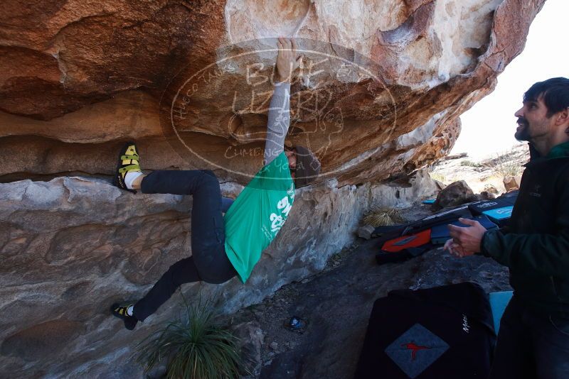 Bouldering in Hueco Tanks on 02/22/2019 with Blue Lizard Climbing and Yoga
Filename: SRM_20190222_1202310.jpg
Aperture: f/7.1
Shutter Speed: 1/250
Body: Canon EOS-1D Mark II
Lens: Canon EF 16-35mm f/2.8 L