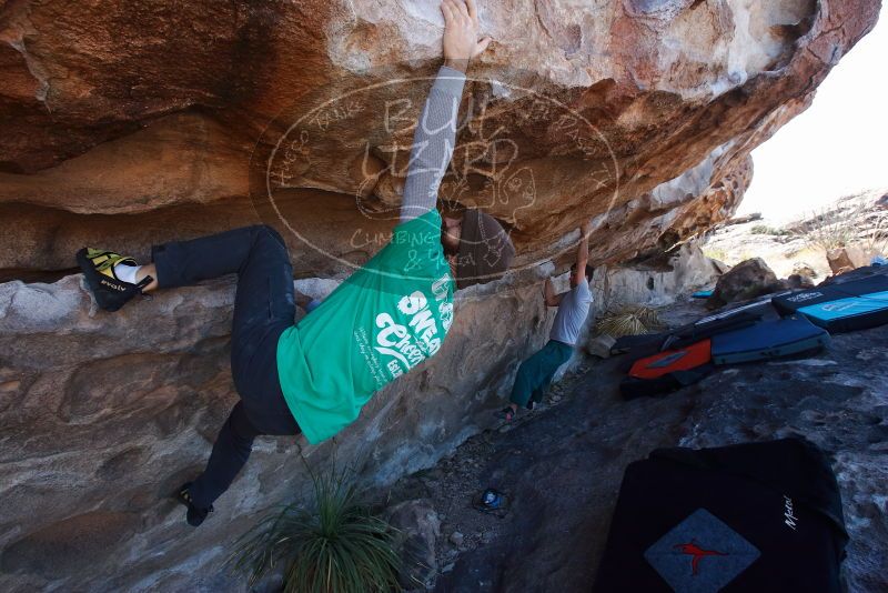 Bouldering in Hueco Tanks on 02/22/2019 with Blue Lizard Climbing and Yoga

Filename: SRM_20190222_1204110.jpg
Aperture: f/7.1
Shutter Speed: 1/250
Body: Canon EOS-1D Mark II
Lens: Canon EF 16-35mm f/2.8 L