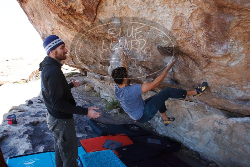 Bouldering in Hueco Tanks on 02/22/2019 with Blue Lizard Climbing and Yoga
Filename: SRM_20190222_1229130.jpg
Aperture: f/7.1
Shutter Speed: 1/250
Body: Canon EOS-1D Mark II
Lens: Canon EF 16-35mm f/2.8 L