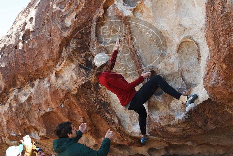 Bouldering in Hueco Tanks on 02/22/2019 with Blue Lizard Climbing and Yoga

Filename: SRM_20190222_1249540.jpg
Aperture: f/5.6
Shutter Speed: 1/250
Body: Canon EOS-1D Mark II
Lens: Canon EF 50mm f/1.8 II