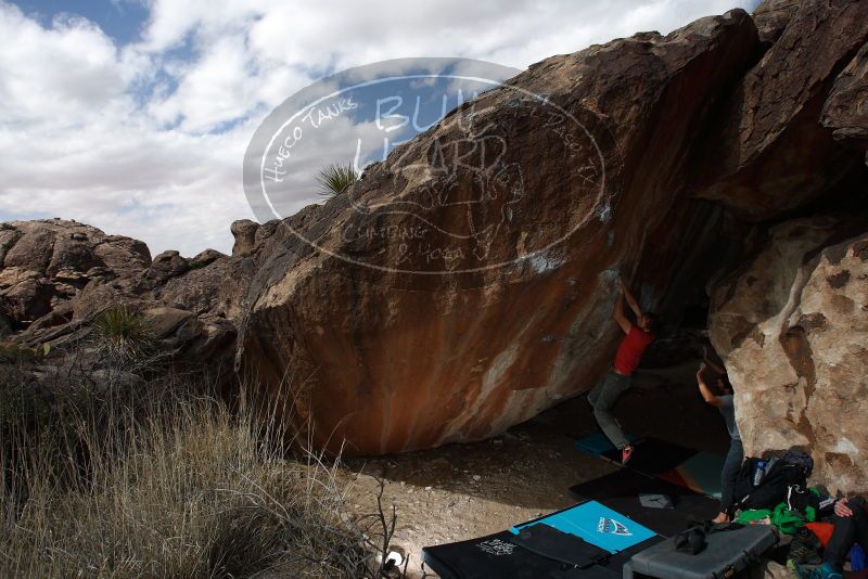 Bouldering in Hueco Tanks on 02/22/2019 with Blue Lizard Climbing and Yoga

Filename: SRM_20190222_1341410.jpg
Aperture: f/7.1
Shutter Speed: 1/250
Body: Canon EOS-1D Mark II
Lens: Canon EF 16-35mm f/2.8 L