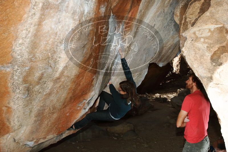 Bouldering in Hueco Tanks on 02/22/2019 with Blue Lizard Climbing and Yoga

Filename: SRM_20190222_1345020.jpg
Aperture: f/7.1
Shutter Speed: 1/250
Body: Canon EOS-1D Mark II
Lens: Canon EF 16-35mm f/2.8 L