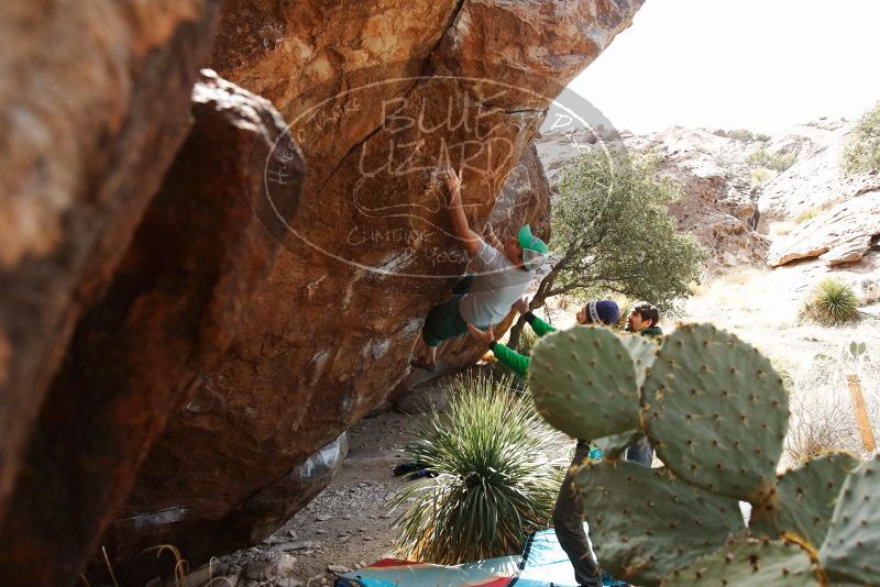 Bouldering in Hueco Tanks on 02/22/2019 with Blue Lizard Climbing and Yoga
Filename: SRM_20190222_1508420.jpg
Aperture: f/6.3
Shutter Speed: 1/250
Body: Canon EOS-1D Mark II
Lens: Canon EF 16-35mm f/2.8 L